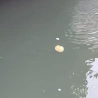 思った以上にスピードが速く…