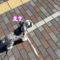 病院が近づくと立ち止まりました