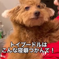 朝、起きてみたら…