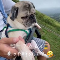 リフトに乗るデビちゃん2