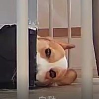 まさかの
