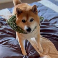抱っこ