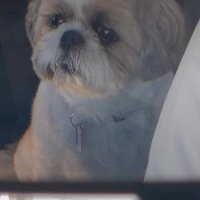 わかりやすすぎる絶望顔