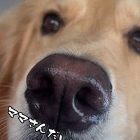 「大丈夫？」