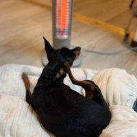 寒い日はちょっぴり苦手