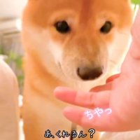 落ちてしまう髪ゴム