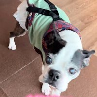 幸せそうなお顔♡