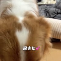 ママに「パパ起きたよ」の報告中