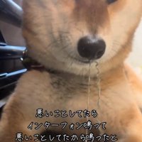 イタズラ中のぬん君
