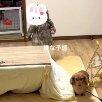 なんとなく嫌な予感…