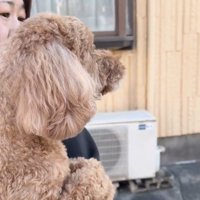 女性に抱きしめられながら一点を見つめる犬