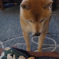 どうぞ