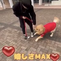 男性の足元ではしゃぐ犬