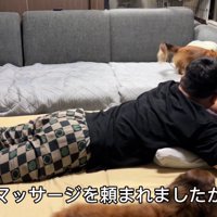 ダックスたちが集まってきました