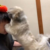 てんぽさんにおもちゃが届いたら6