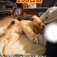 楽しそうにじゃれ合う2人♪