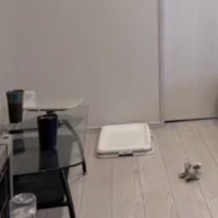 静まり返った部屋の中
