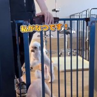 はるちゃん＆なつちゃんのお迎え8