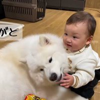 こはくちゃん愛が止まらない！