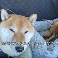帰りはぐっすり眠っていたとか