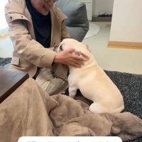 バーバに甘える犬