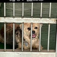 もう寂しい顔にはさせない