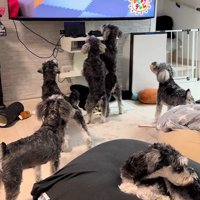 夢中になっています♪