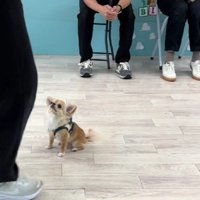 指示を聞くと…