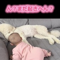 そろそろ起きてくれるかな？