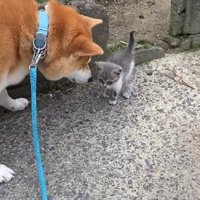 たきちちゃんとご挨拶