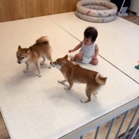 「2人とも、やめなよ…」