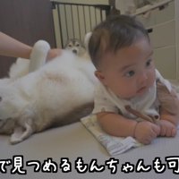 床運動を2匹で見守り