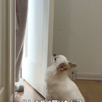やっと会えました…！