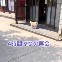ますお君の熱烈歓迎2
