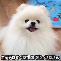 ポテチくんは気に入ったようです♪