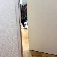 目が合うと…