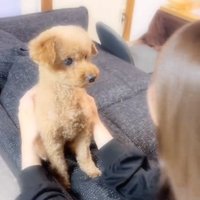 ふうたくんと投稿主さん