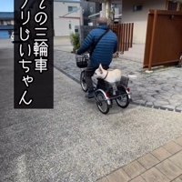 電動式三輪車を漕ぐ年配男性の後ろ姿