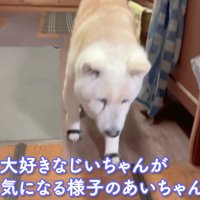 おじいちゃんが気になる…