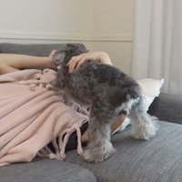 全然寝かせてくれません！