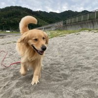 のびのびと働くミッチェルちゃんでした