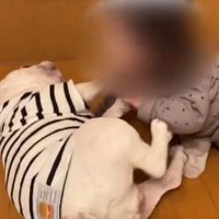 遊ぶふたり