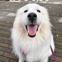ムーちゃんと散歩していたら…