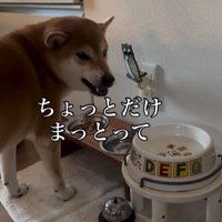 お姉ちゃん帰宅時のけいちゃん7