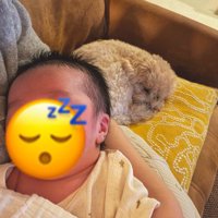 小さなボディーガード！？