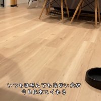 呼ばれた甚八くん