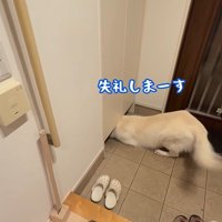 パパが隠れた時のれお君5