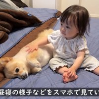 寝かしつけ再開