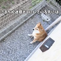 「困ったわぁ」