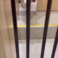 サロンに預けられる豆助座衛門くん8